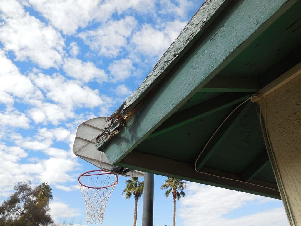 Rotted, split green wood fascia beside a basketball hoop and palms