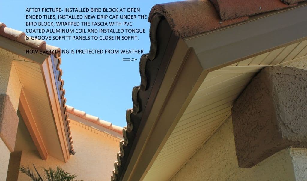 Tile roof eave with labels: bird block at the open-ended tiles, new drip cap under it, fascia wrapped in PVC-coated aluminum coil and tongue-and-groove soffit panels closing in the eave