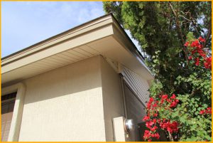 Soffit and Fascia Siding Residential Home